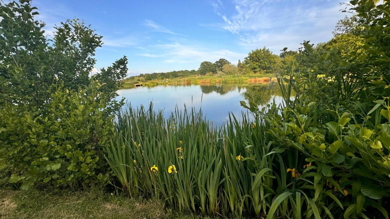Bransford Farm Fishery & B & B Exterior photo